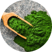 Chlorella.png